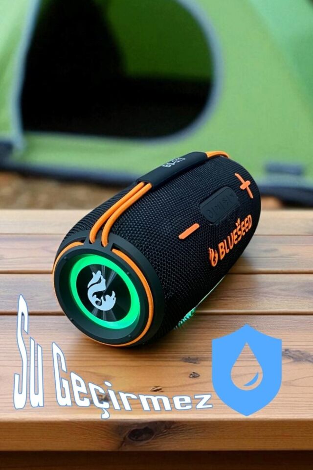 BinBirTekno BS-313-Siyah Bluetooth Wireless Speaker 20W
