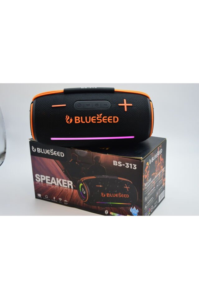 BinBirTekno BS-313-Siyah Bluetooth Wireless Speaker 20W