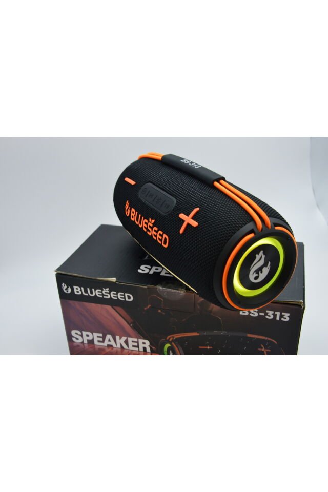BinBirTekno BS-313-Siyah Bluetooth Wireless Speaker 20W
