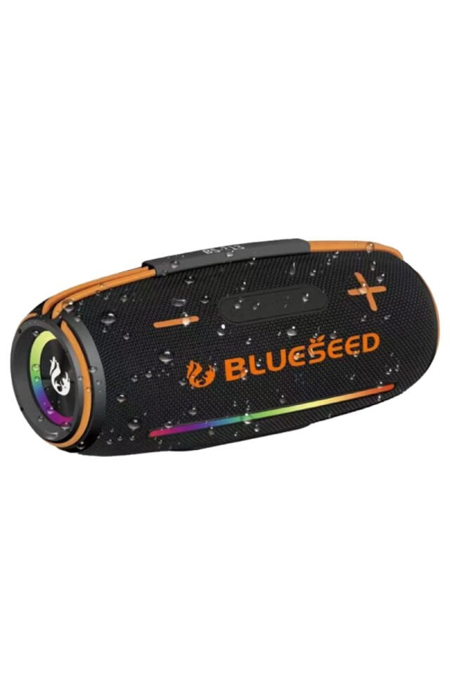 BinBirTekno BS-313-Siyah Bluetooth Wireless Speaker 20W